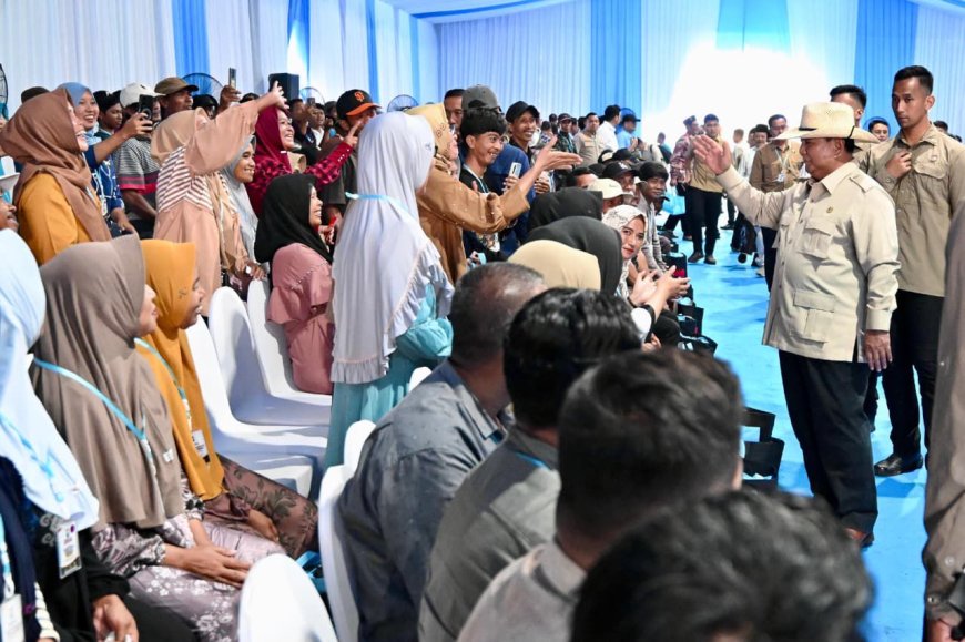 Panen Raya Jagung Bangun Optimisme Sektor Pertanian